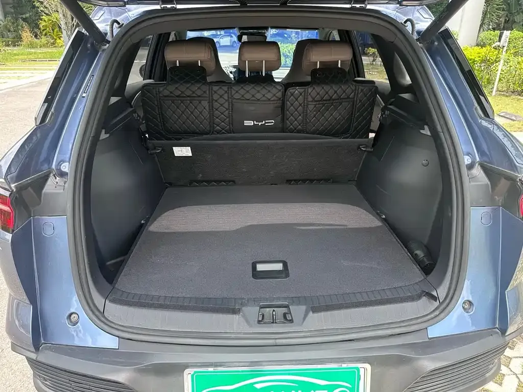 BYD Pro New Energy 2023 из CN, фото 2