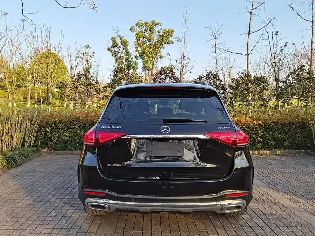 Mercedes-Benz 奔驰GLE(进口) 2021 из CN, фото 9