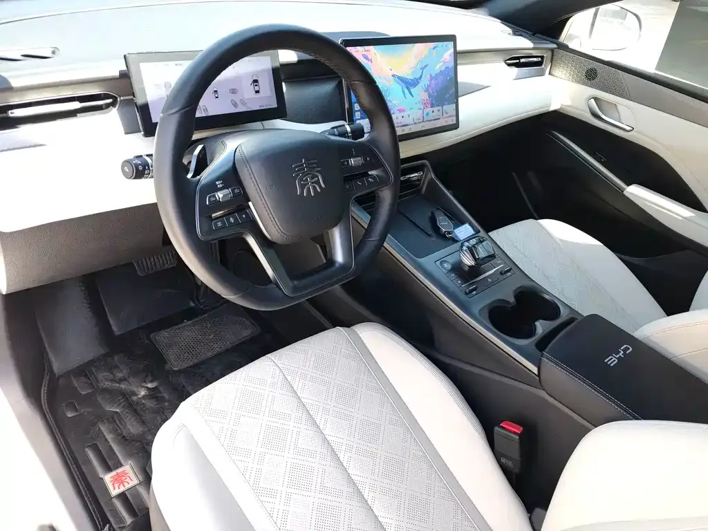 BYD Qin PLUS — фото 6