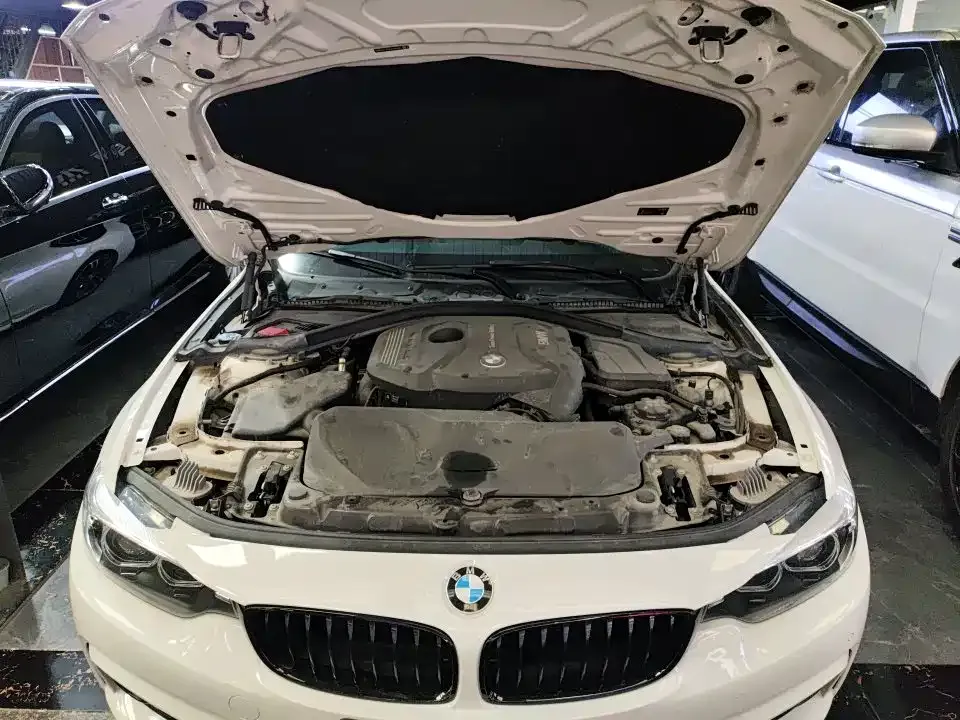 BMW 4 Series 2021 из CN, фото 7