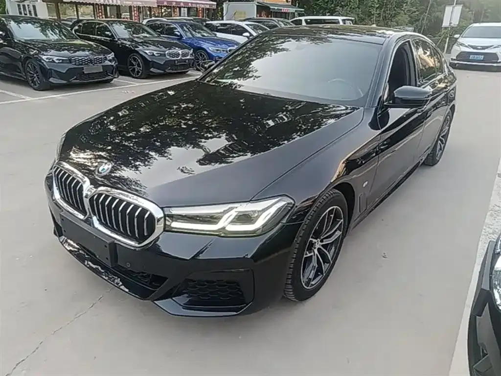 BMW 5 Series (Import) — фото 6