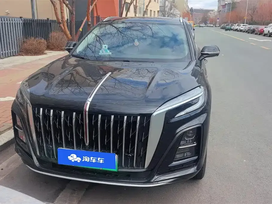 Hongqi HS3 PHEV 2024 из CN, фото 5