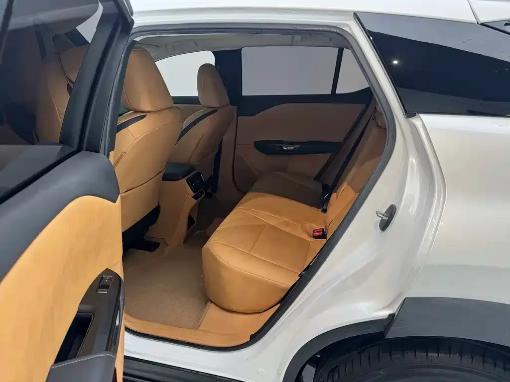 Lexus RZ 2023 из CN, фото 6