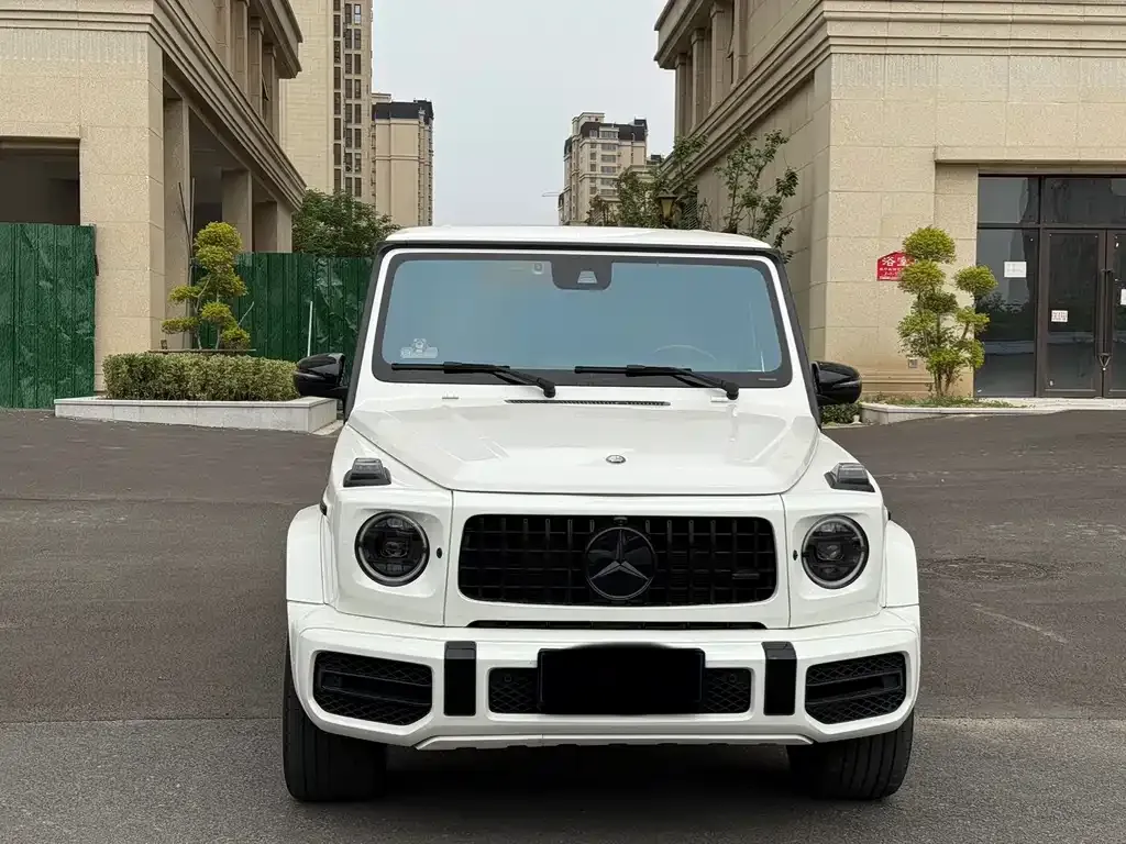 Mercedes-Benz G-Class 2021 из CN, фото 6