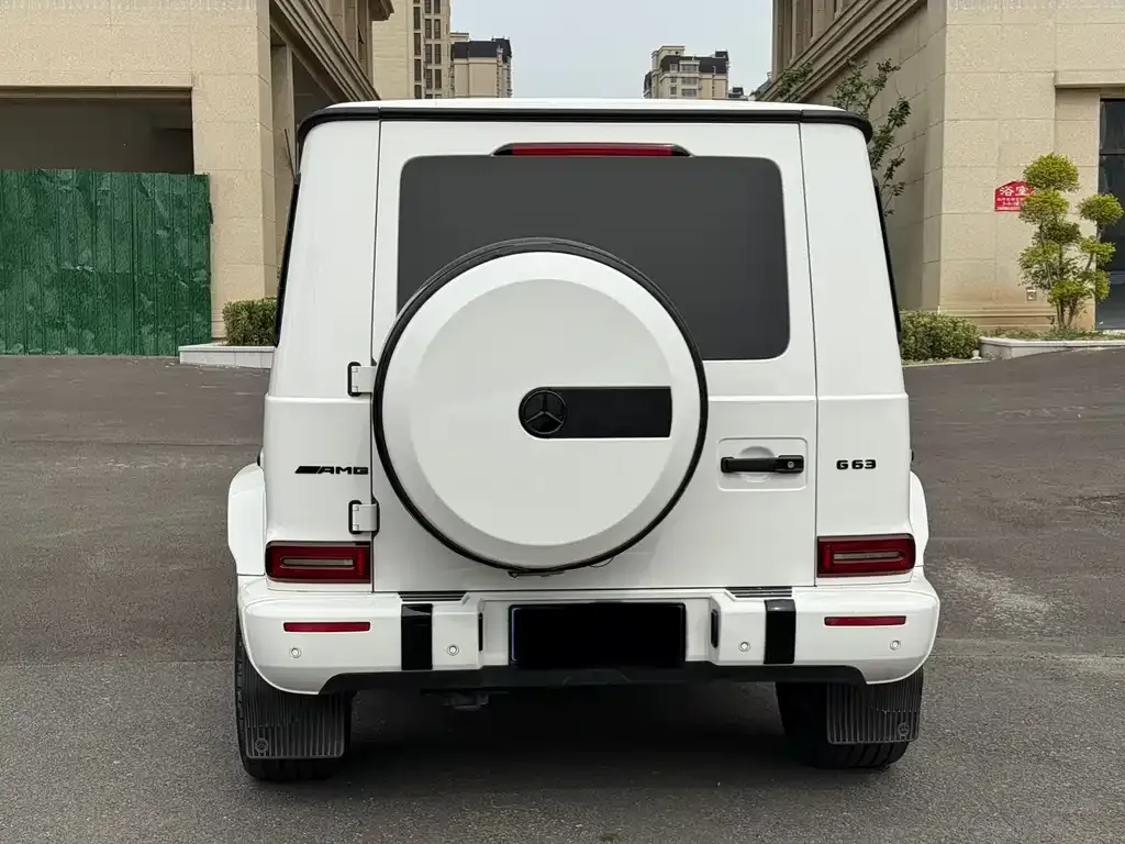 Mercedes-Benz G-Class 2021 из CN, фото 4