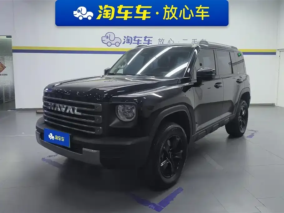Haval Menglong New Energy — фото 1