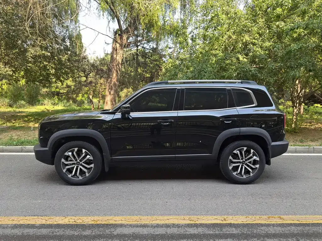 Haval Big Dog — фото 10