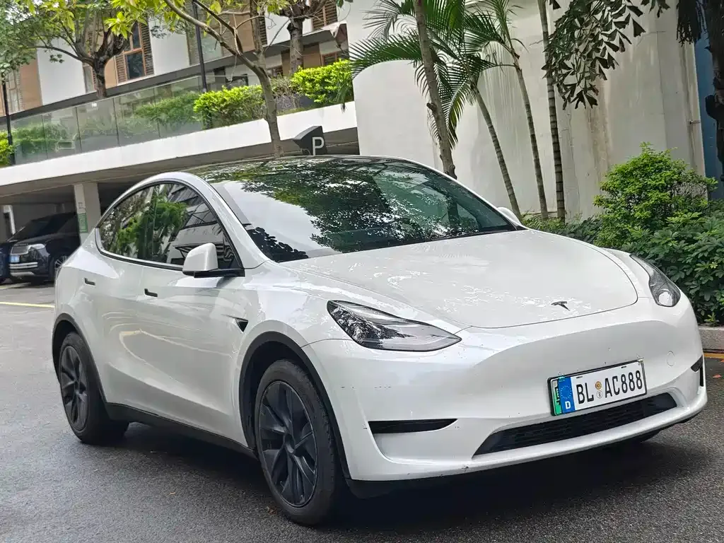 Tesla Model Y — фото 10