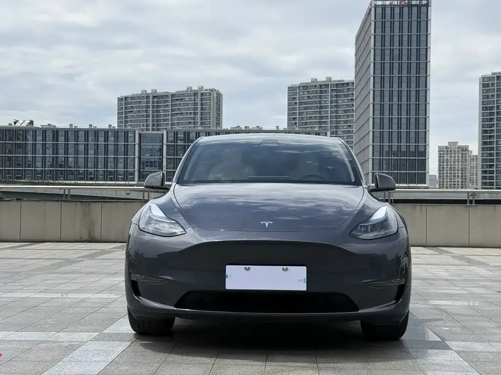 Tesla Model Y — фото 6