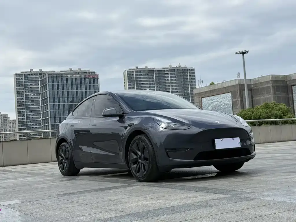 Tesla Model Y — фото 2
