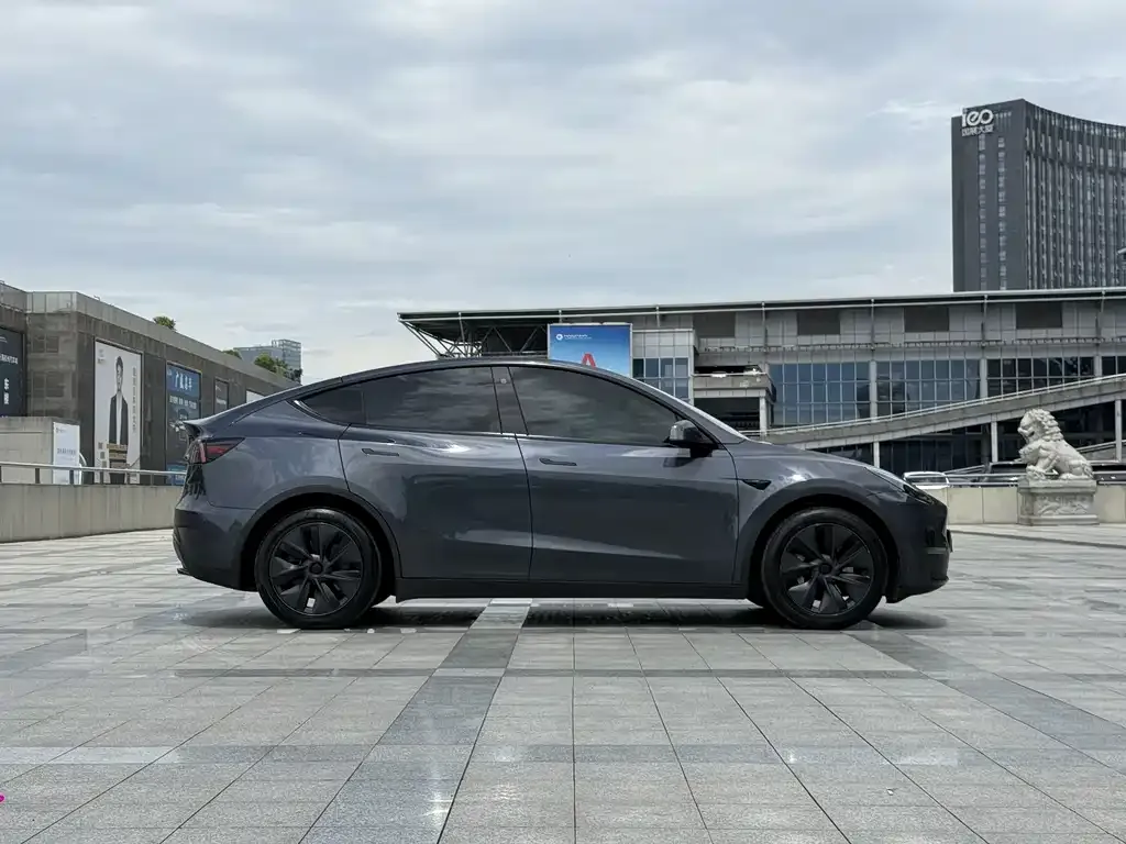 Tesla Model Y — фото 10