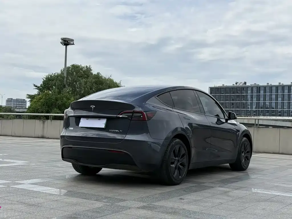 Tesla Model Y — фото 5