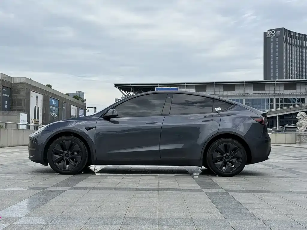 Tesla Model Y — фото 9