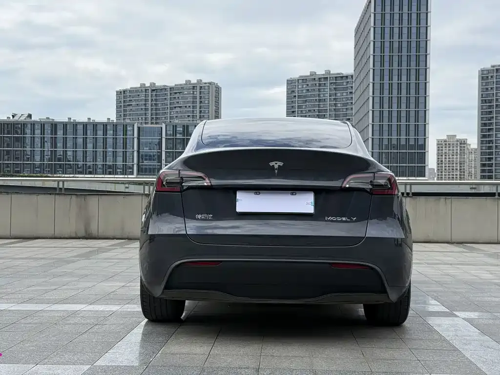 Tesla Model Y — фото 7