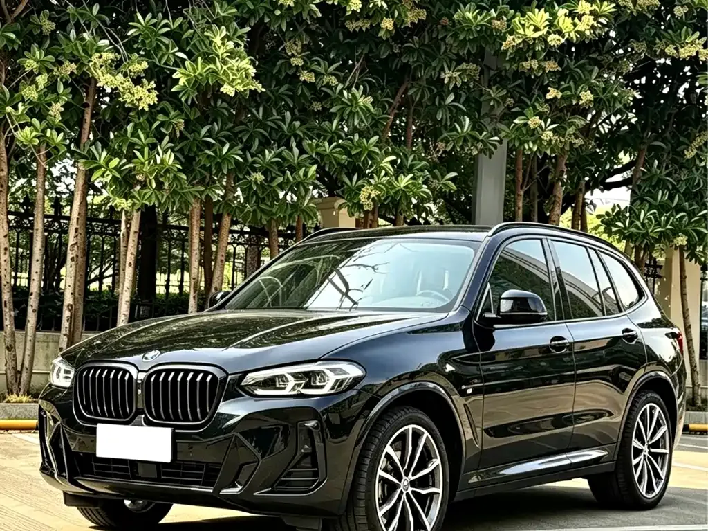 BMW X3 — фото 1