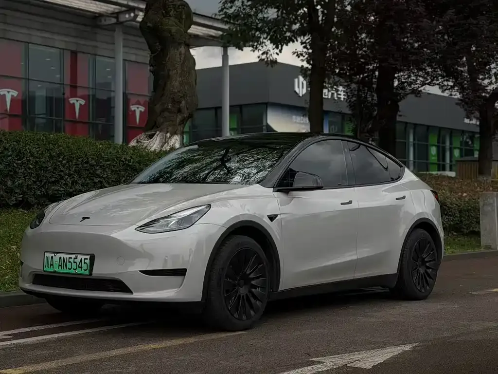 Tesla Model Y — фото 1