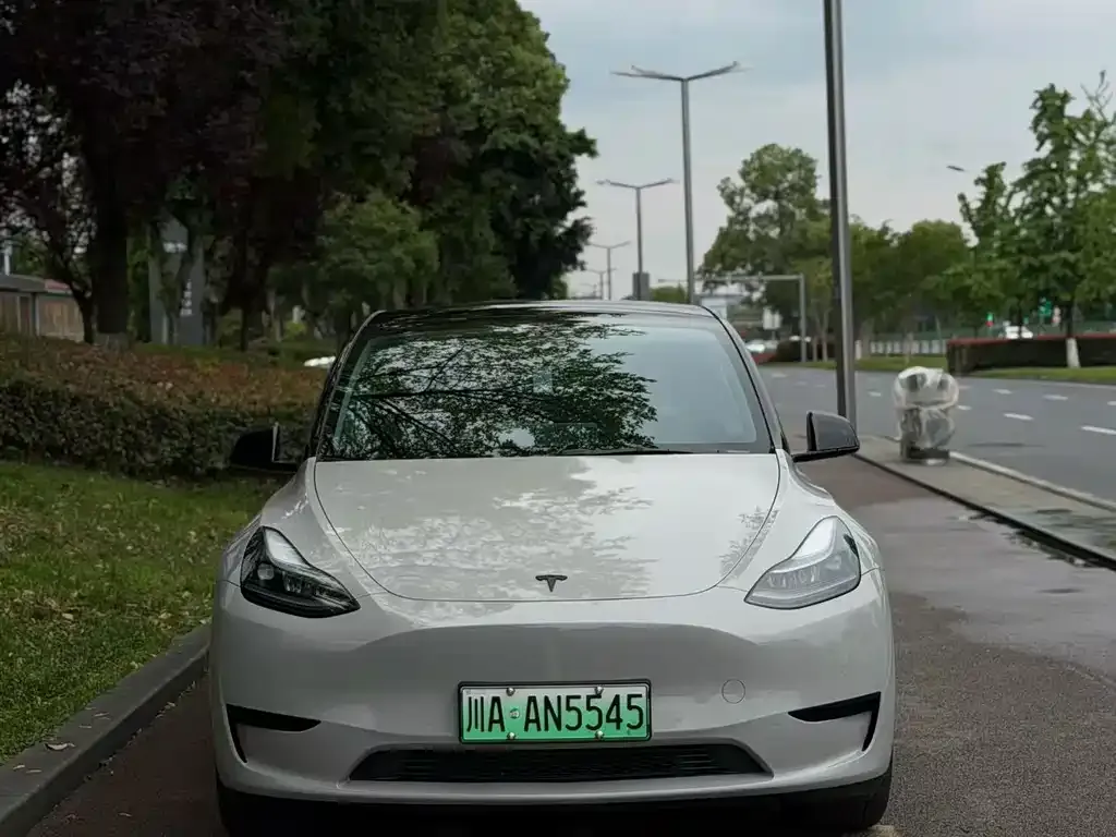 Tesla Model Y — фото 4