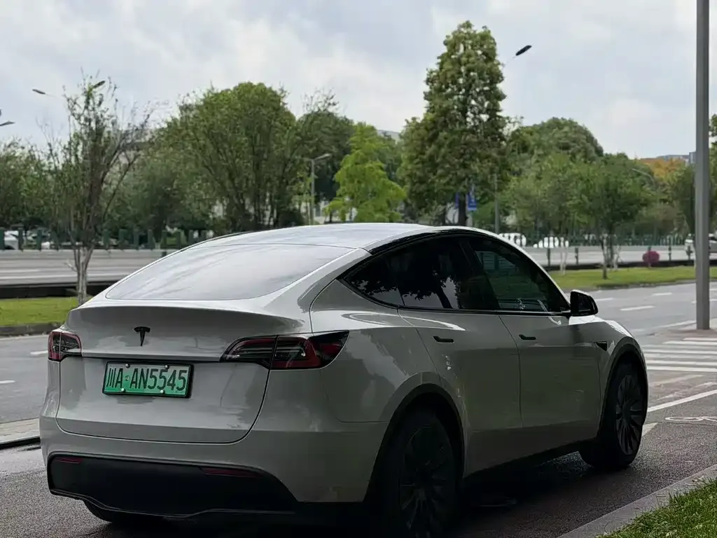 Tesla Model Y — фото 5