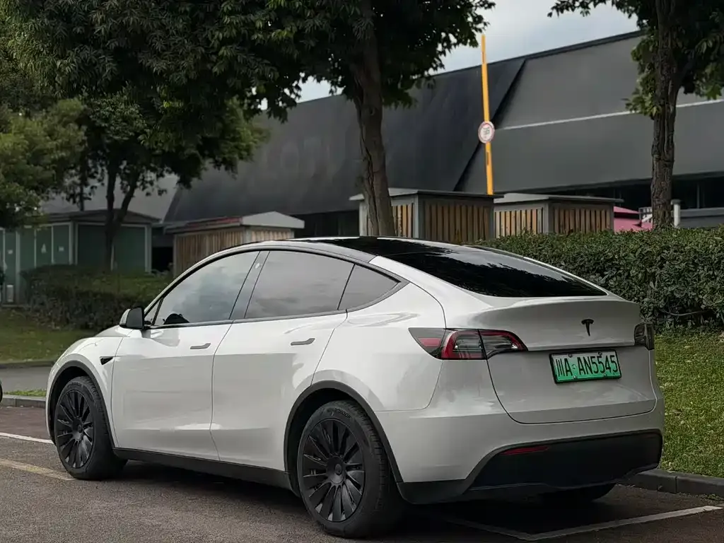Tesla Model Y — фото 7