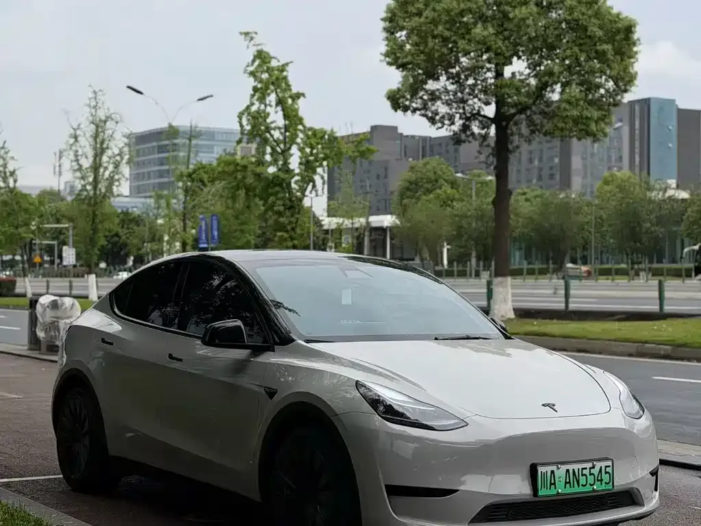 Tesla Model Y — фото 6