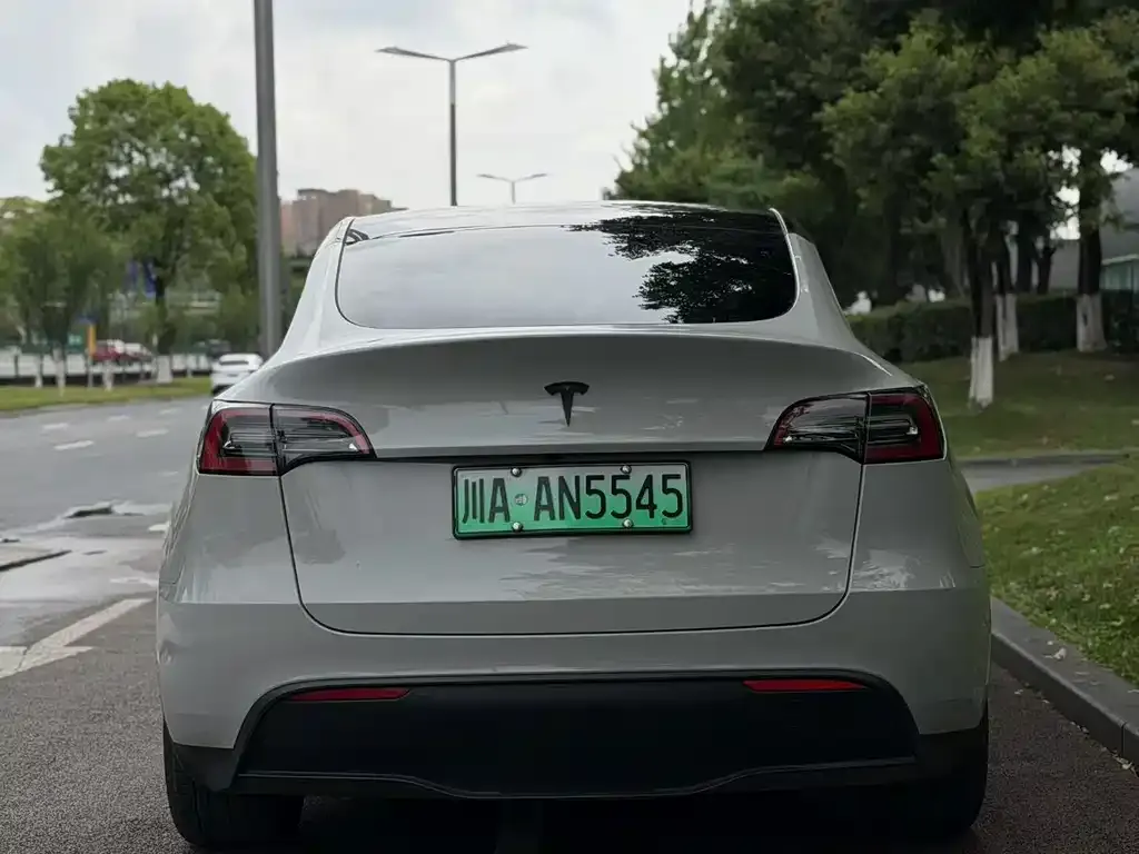 Tesla Model Y — фото 3