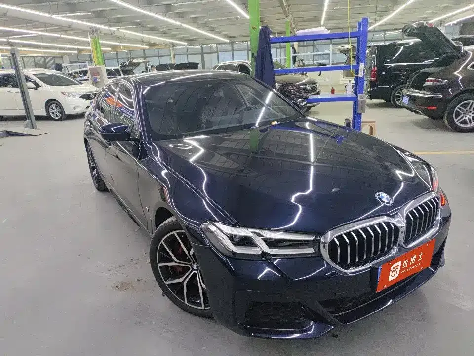 BMW 5 Series (Import) 2022 из CN, фото 7