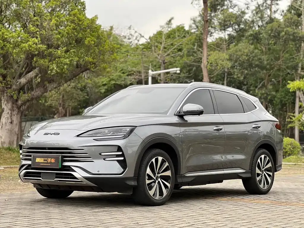 BYD PLUS New Energy — фото 1