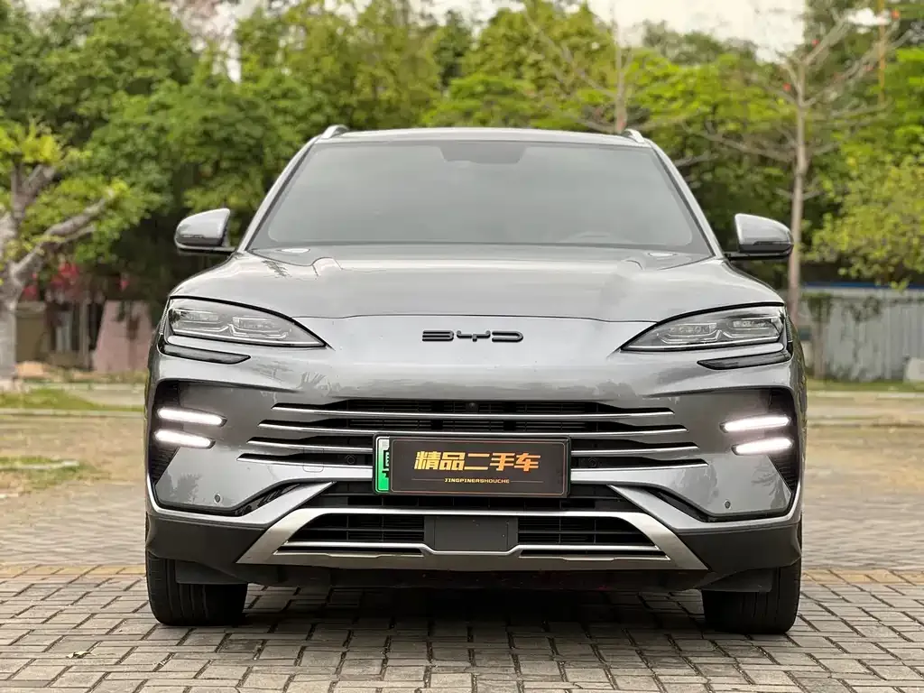 BYD PLUS New Energy — фото 2