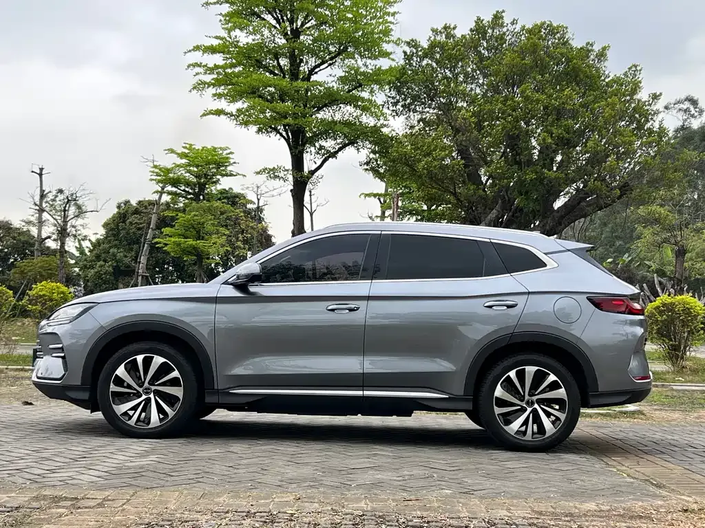 BYD PLUS New Energy — фото 4