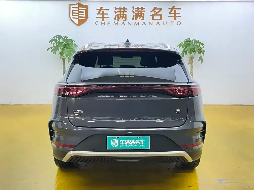 BYD Tang New Energy — фото 5