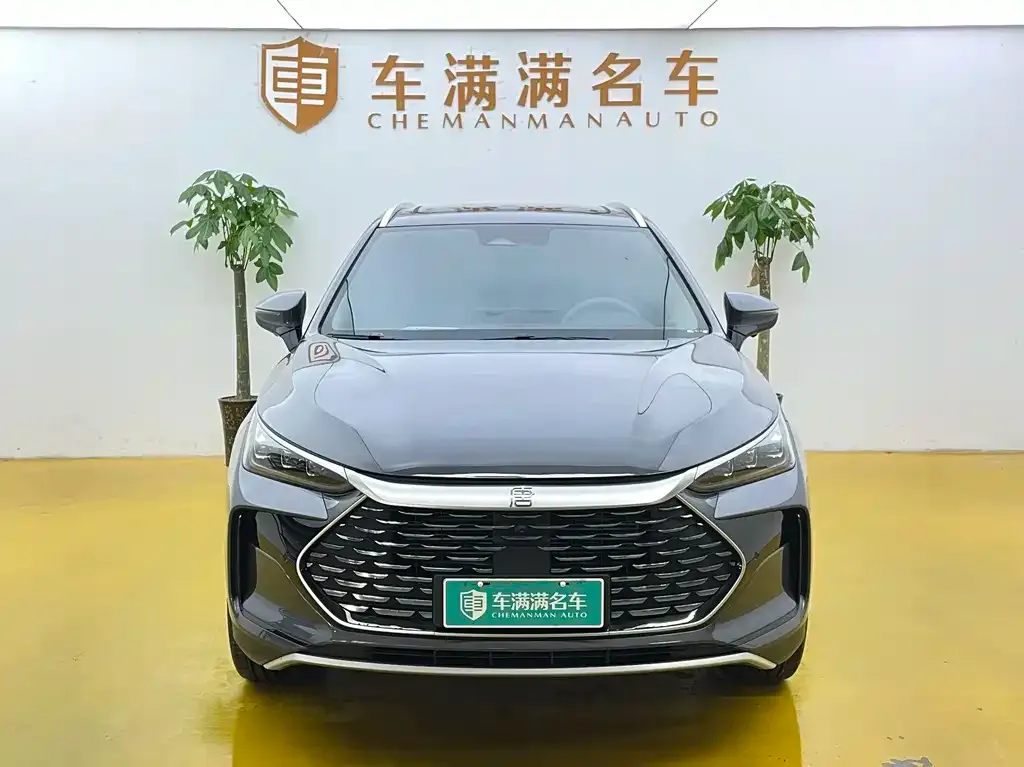 BYD Tang New Energy — фото 4