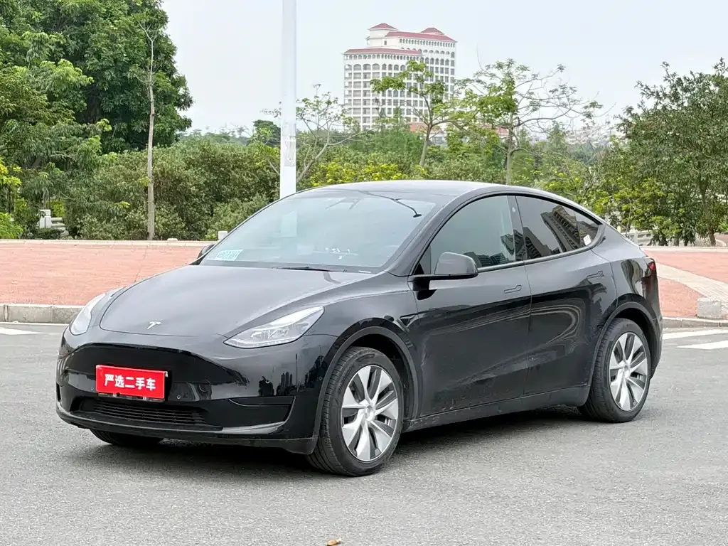 Tesla Model Y — фото 1