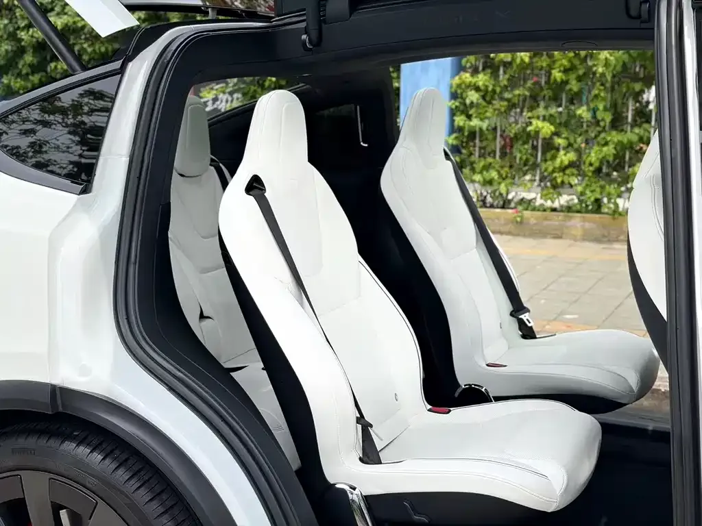 Tesla Model X 2023 из CN, фото 7