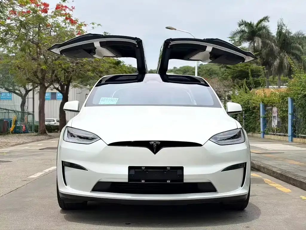 Tesla Model X 2023 из CN, фото 5