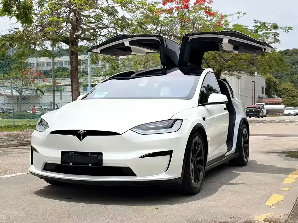 Tesla Model X 2023 из CN, фото 8
