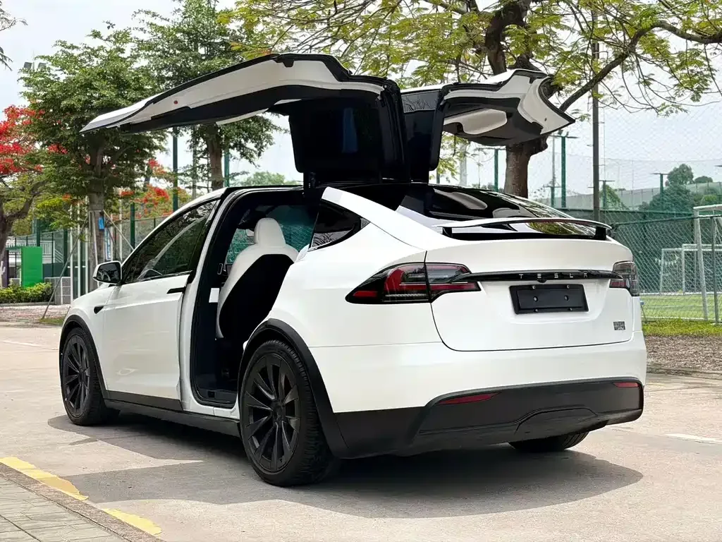 Tesla Model X 2023 из CN, фото 4