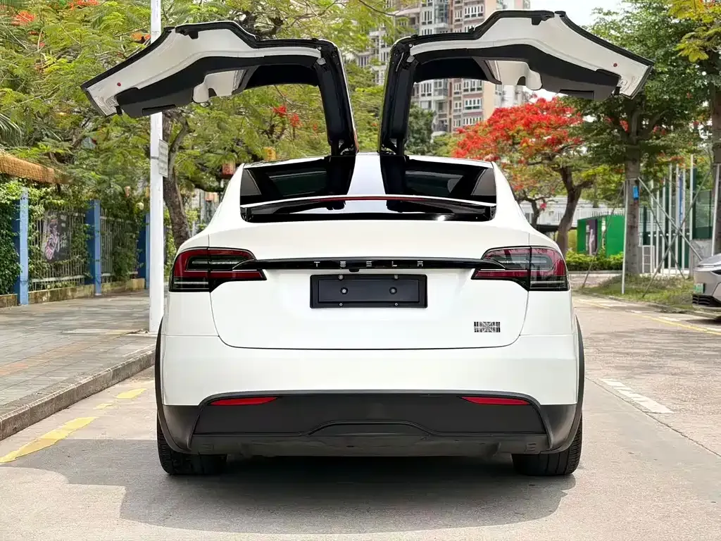 Tesla Model X 2023 из CN, фото 3