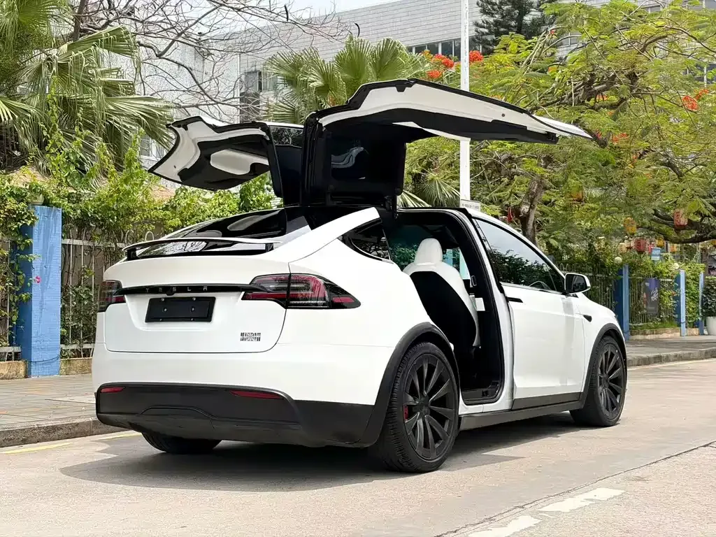 Tesla Model X 2023 из CN, фото 9