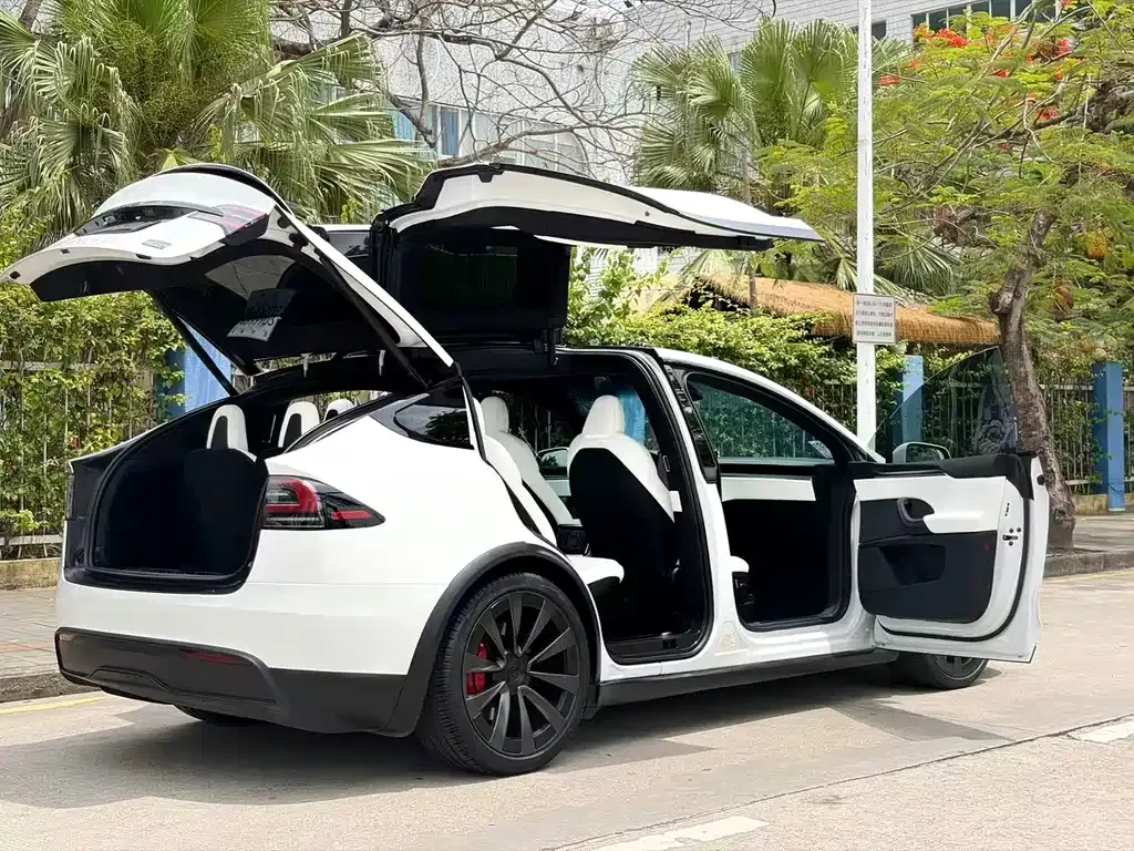 Tesla Model X 2023 из CN, фото 10
