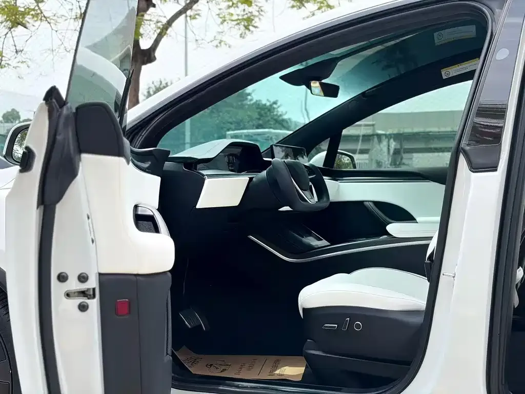 Tesla Model X 2023 из CN, фото 2