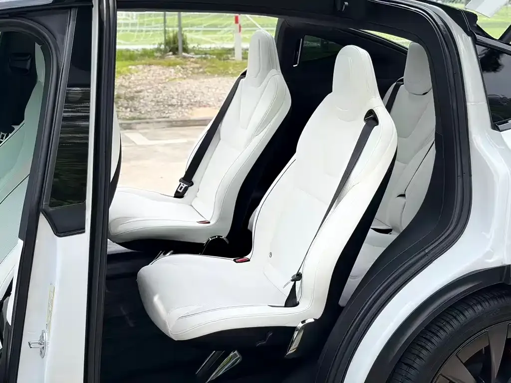 Tesla Model X 2023 из CN, фото 6
