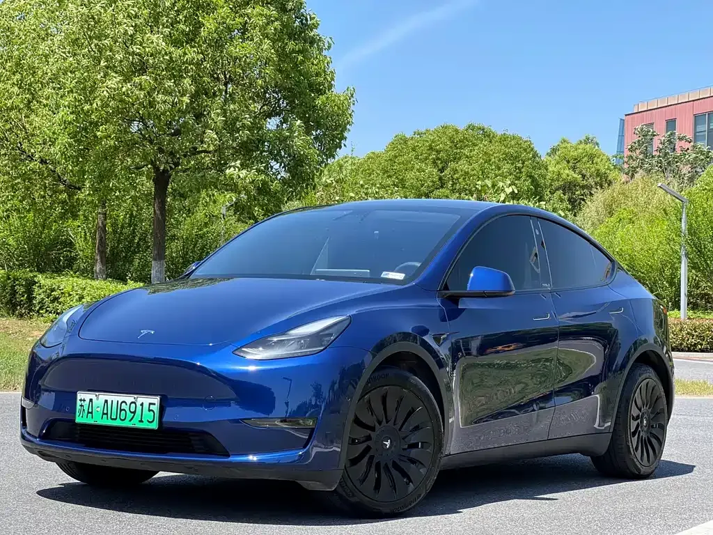 Tesla Model Y — фото 1