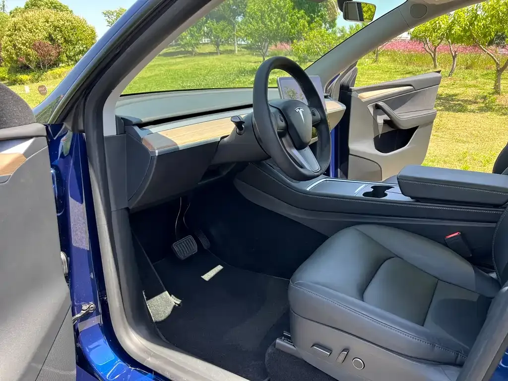 Tesla Model Y — фото 4