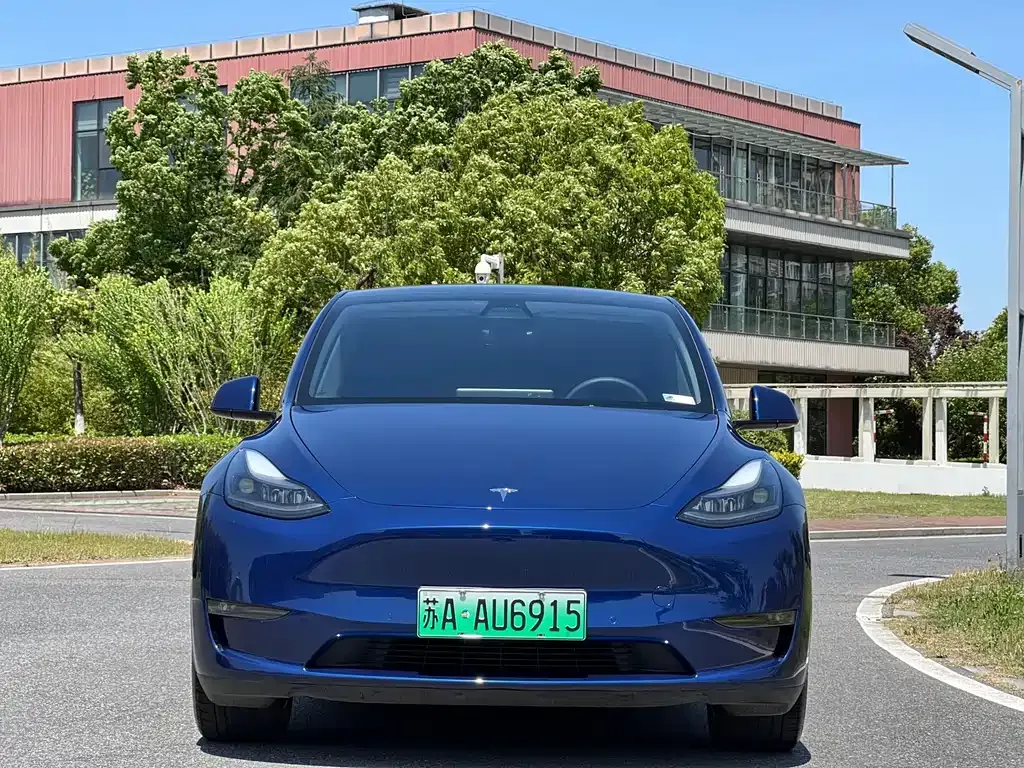 Tesla Model Y — фото 5