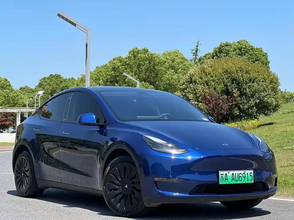 Tesla Model Y — фото 8