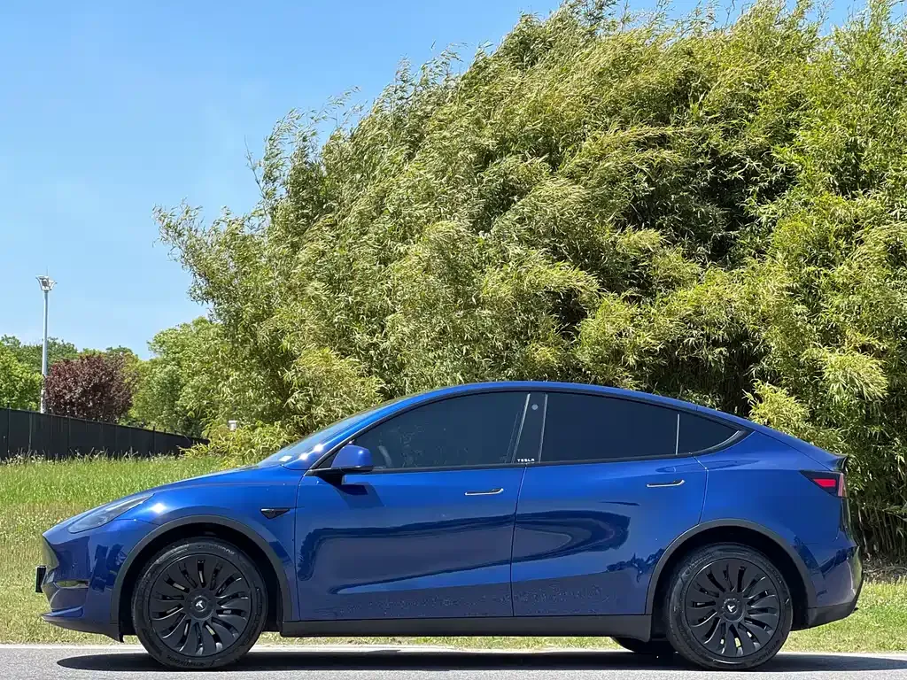 Tesla Model Y — фото 10
