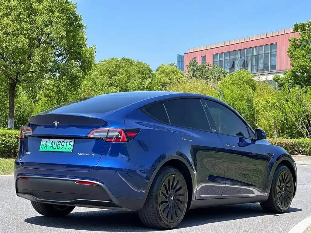 Tesla Model Y — фото 3