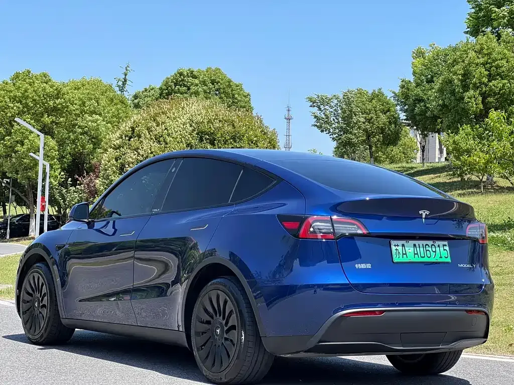 Tesla Model Y — фото 9