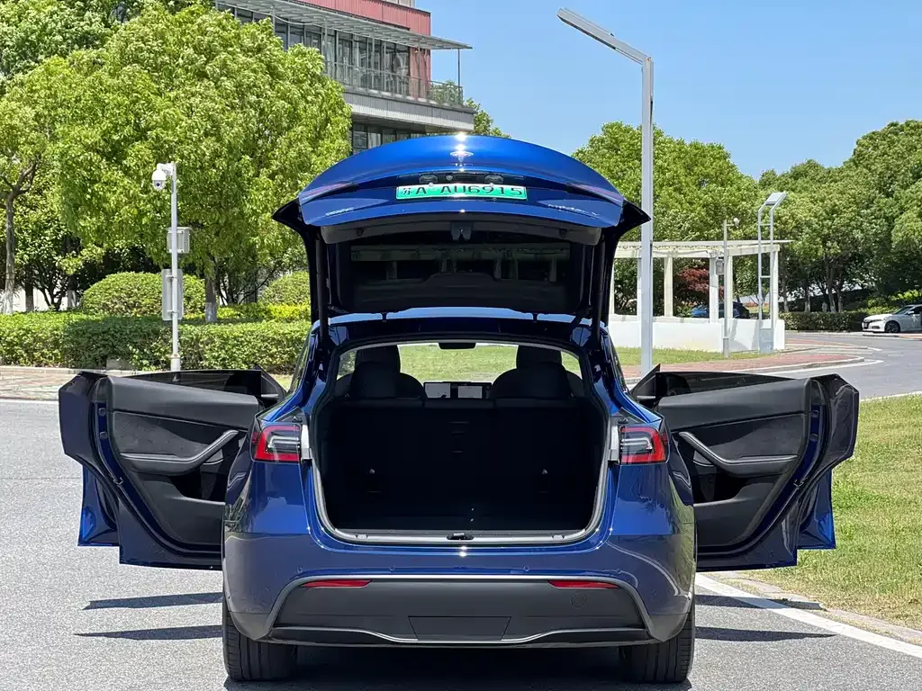 Tesla Model Y — фото 6