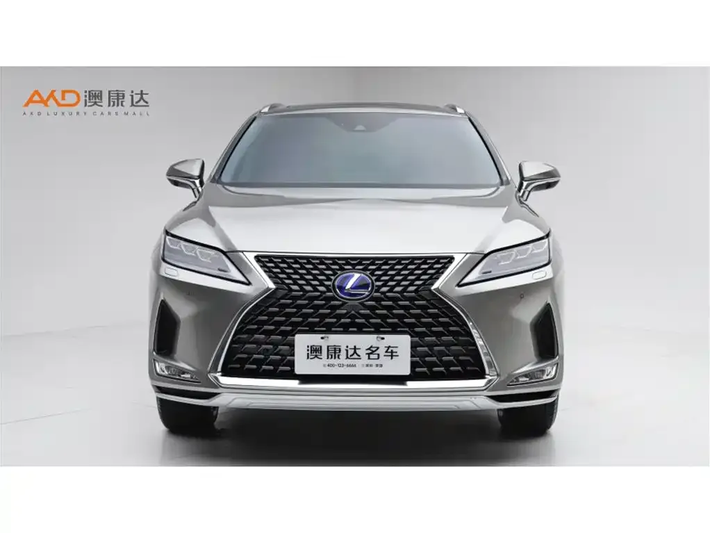 Lexus RX — фото 10